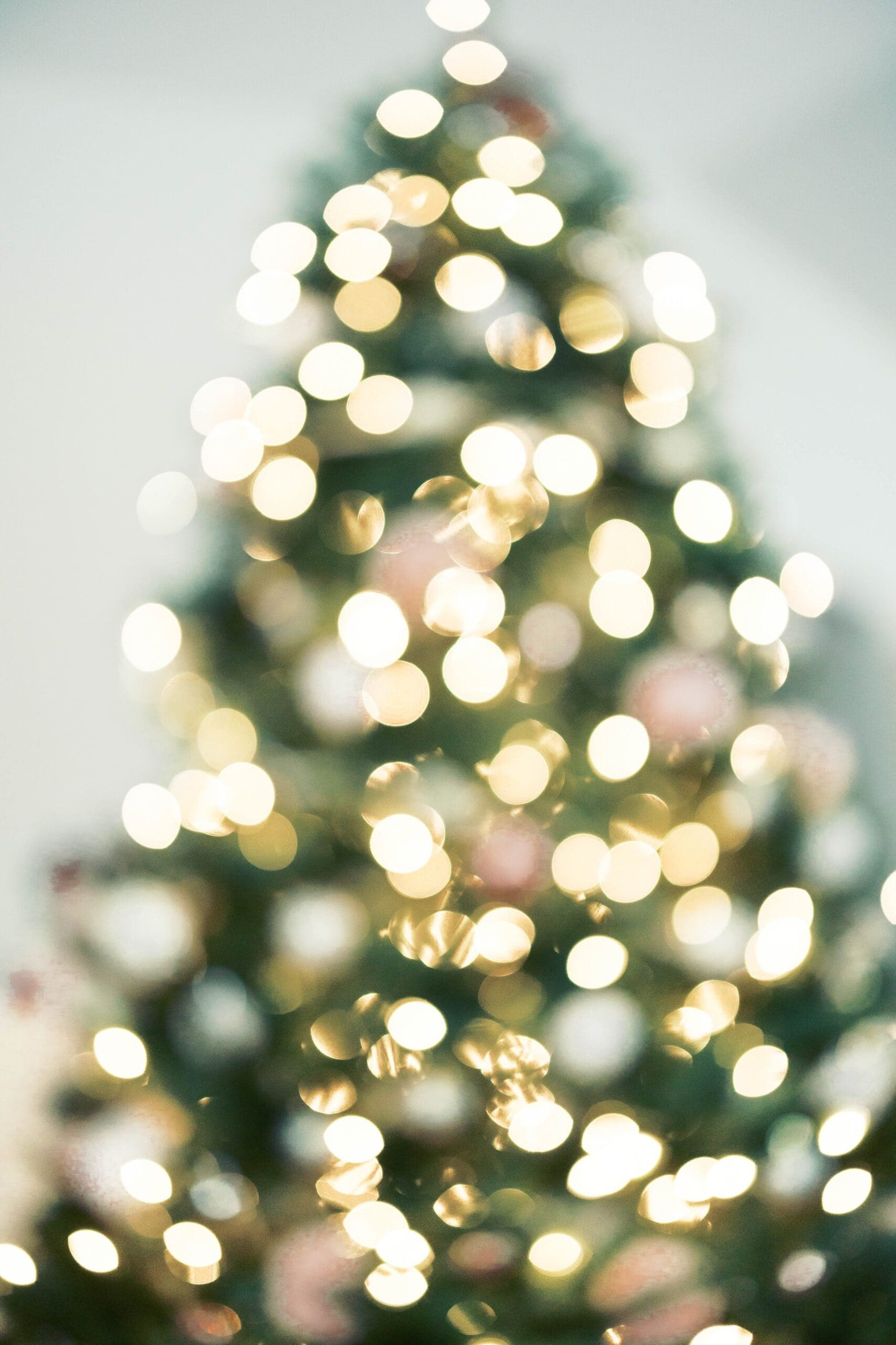 Christmas Tree during an in home family session